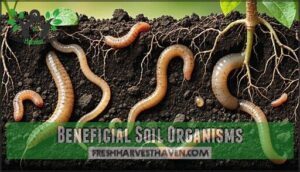 beneficial soil organisms
