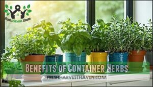 benefits of container herbs