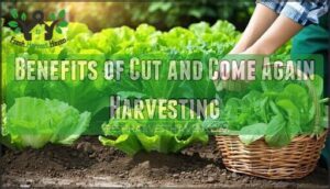 benefits of cut and come again harvesting