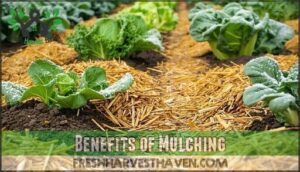 benefits of mulching