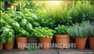 benefits of organic herbs