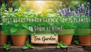 best herbs for tea garden