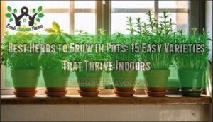 best herbs to grow in pots