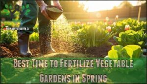 best time to fertilize vegetable gardens in spring