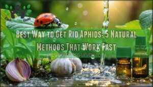 best way to get rid aphids