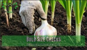 bulb size checks