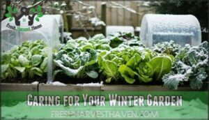caring for your winter garden