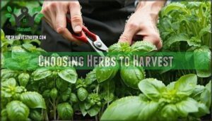 choosing herbs to harvest