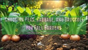 choosing peas, cabbage, and broccoli for fall gardens