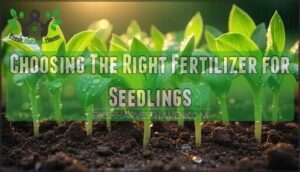 choosing the right fertilizer for seedlings