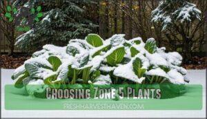 choosing zone 5 plants