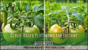 cloud-based platforms for instant diagnoses