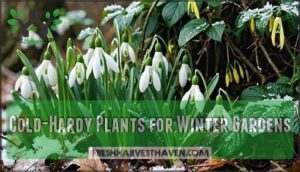cold-hardy plants for winter gardens