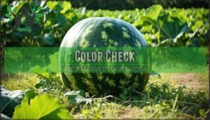 color check