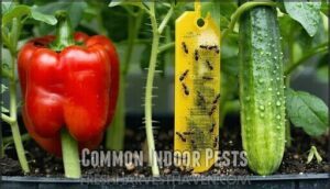 common indoor pests