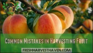 common mistakes in harvesting fruit