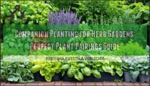companion planting for herb gardens