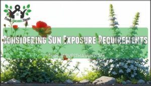 considering sun exposure requirements