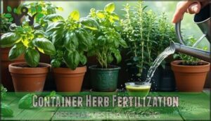 container herb fertilization