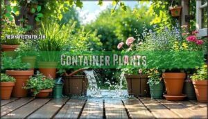 container plants