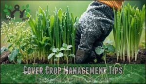 cover crop management tips