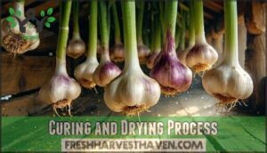 curing and drying process