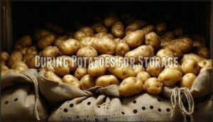 curing potatoes for storage