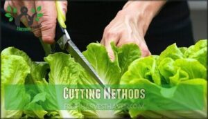 cutting methods