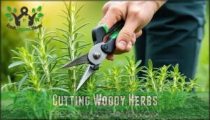 cutting woody herbs