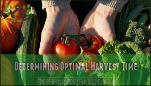 determining optimal harvest time