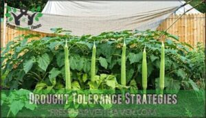 drought tolerance strategies