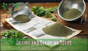 drying and cleaning seeds