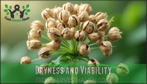 dryness and viability