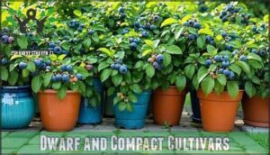 dwarf and compact cultivars