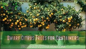 dwarf citrus trees for containers