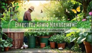 effective aphid management