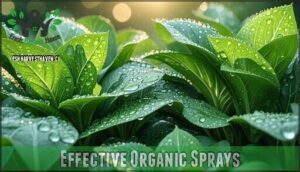 effective organic sprays