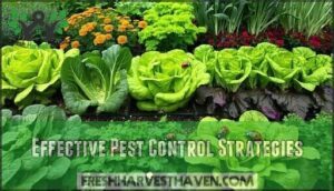effective pest control strategies