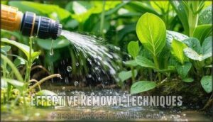 effective removal techniques