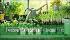 efficient seed starting techniques