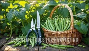 essential tools for harvesting