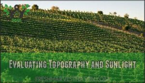 evaluating topography and sunlight