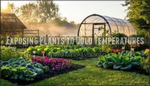exposing plants to cold temperatures