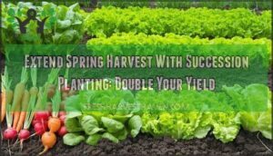 extend spring harvest with succession planting