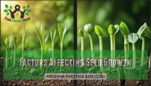 factors affecting seed growth
