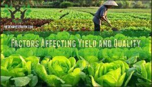 factors affecting yield and quality