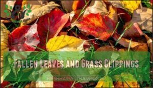 fallen leaves and grass clippings