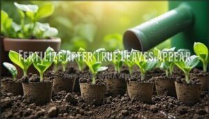 fertilize after true leaves appear