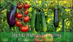 fruit vegetables harvesting