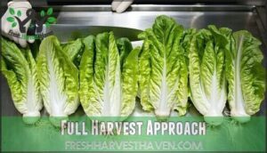 full harvest approach